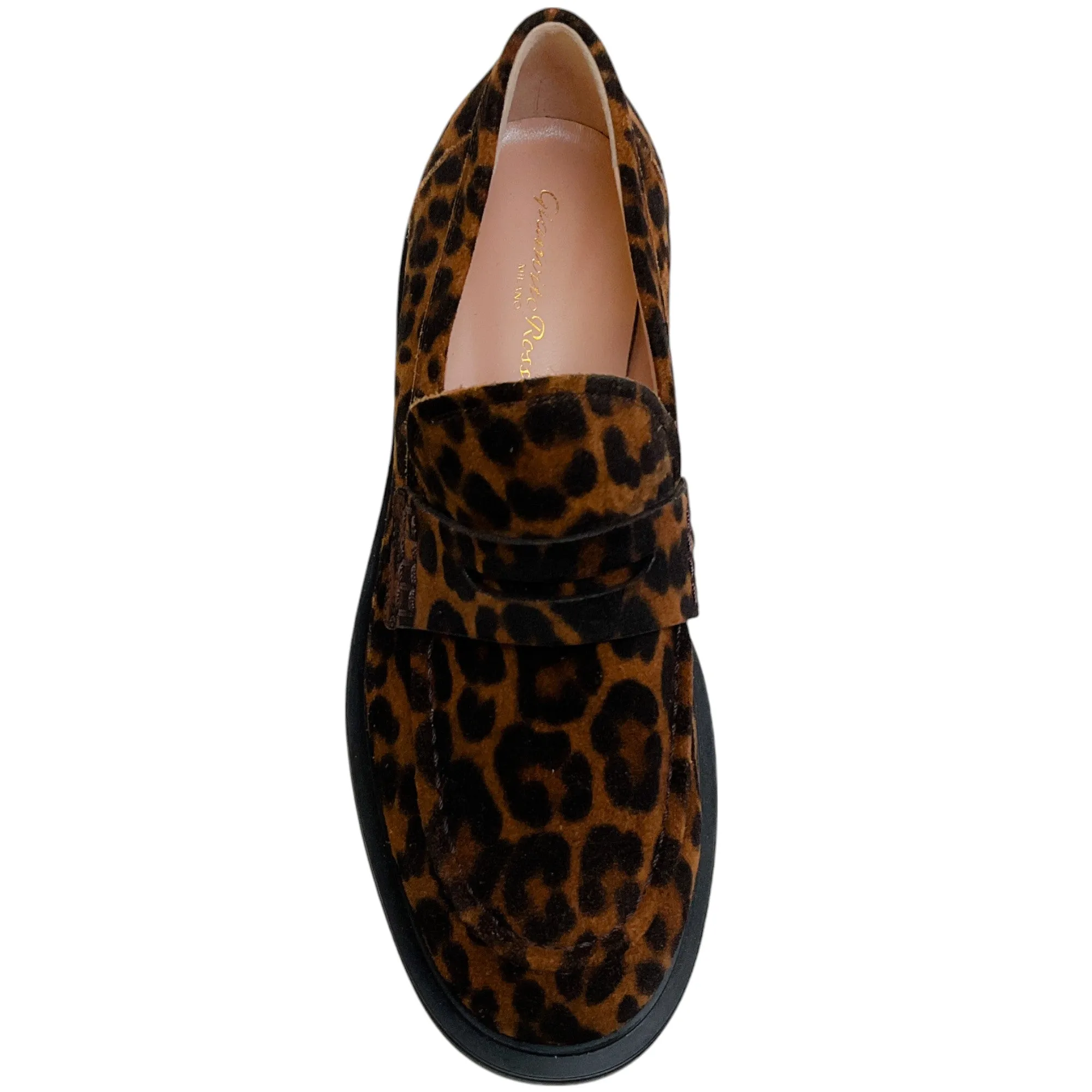 Gianvito Rossi Leopard Suede Harris Loafers